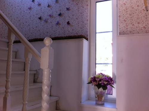 Фото Сканди