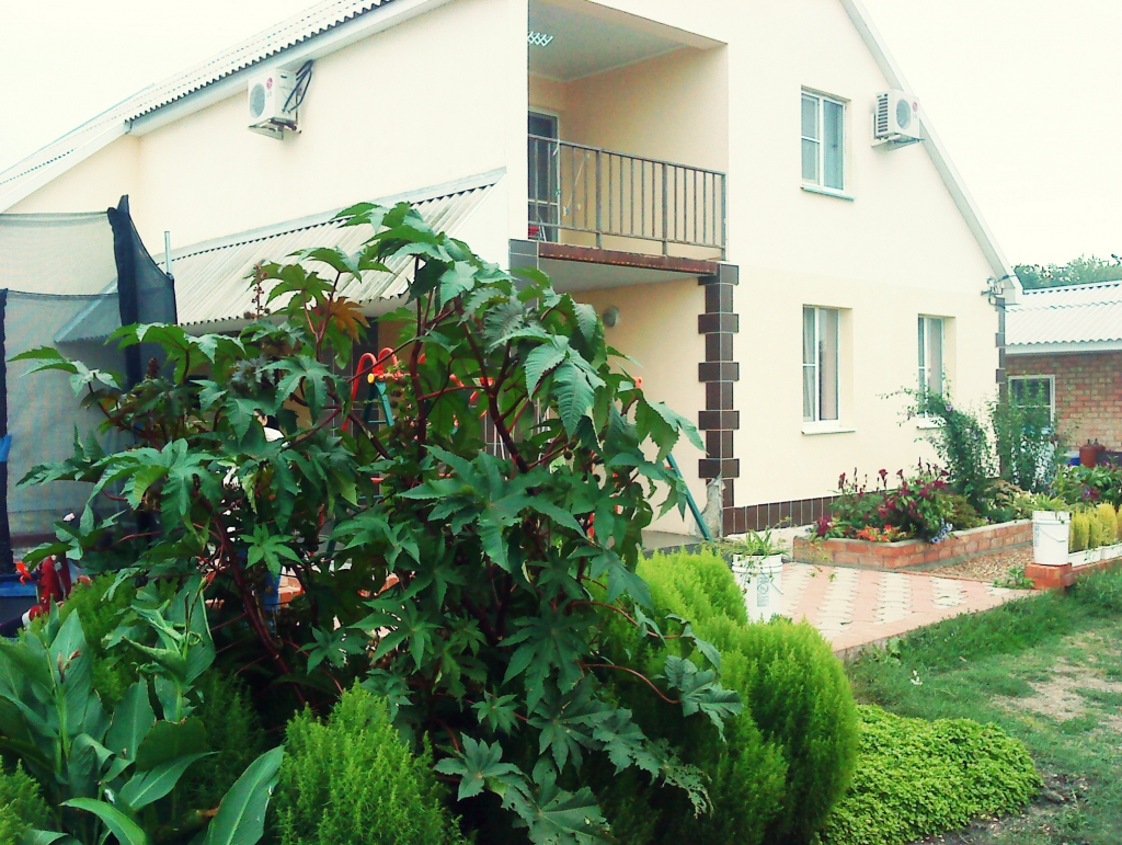 Фото Азовская Русалочка