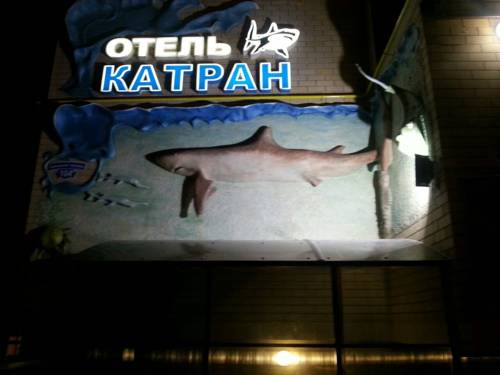 Фото Катран