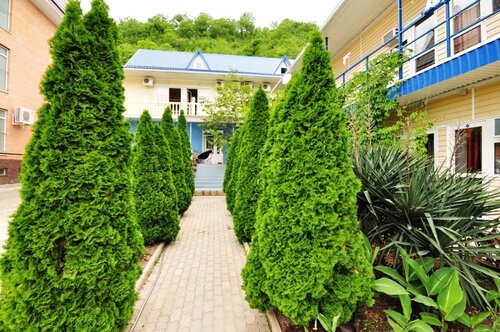 Дом в аренду Гостевой дом Виктория в Посёлке пансионата Южный