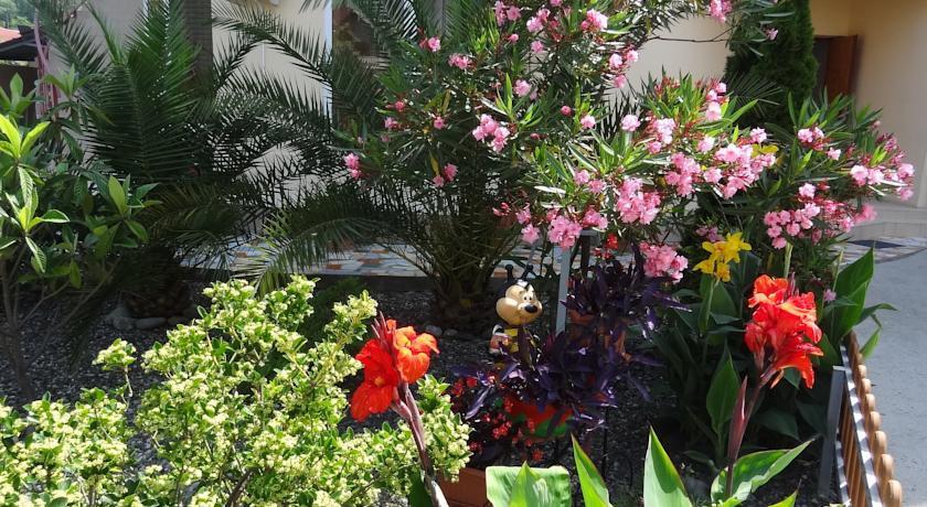 Фото Светлый Аллама групп