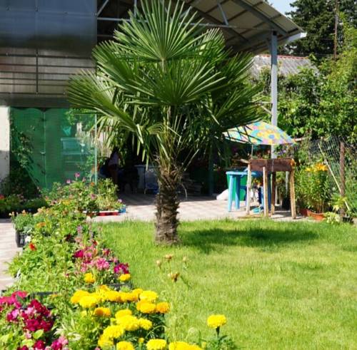 Фото Гостевой дом Элеонора