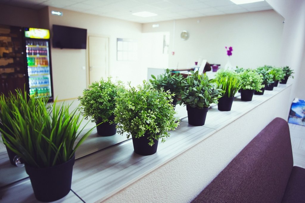 Фото Отдых-10