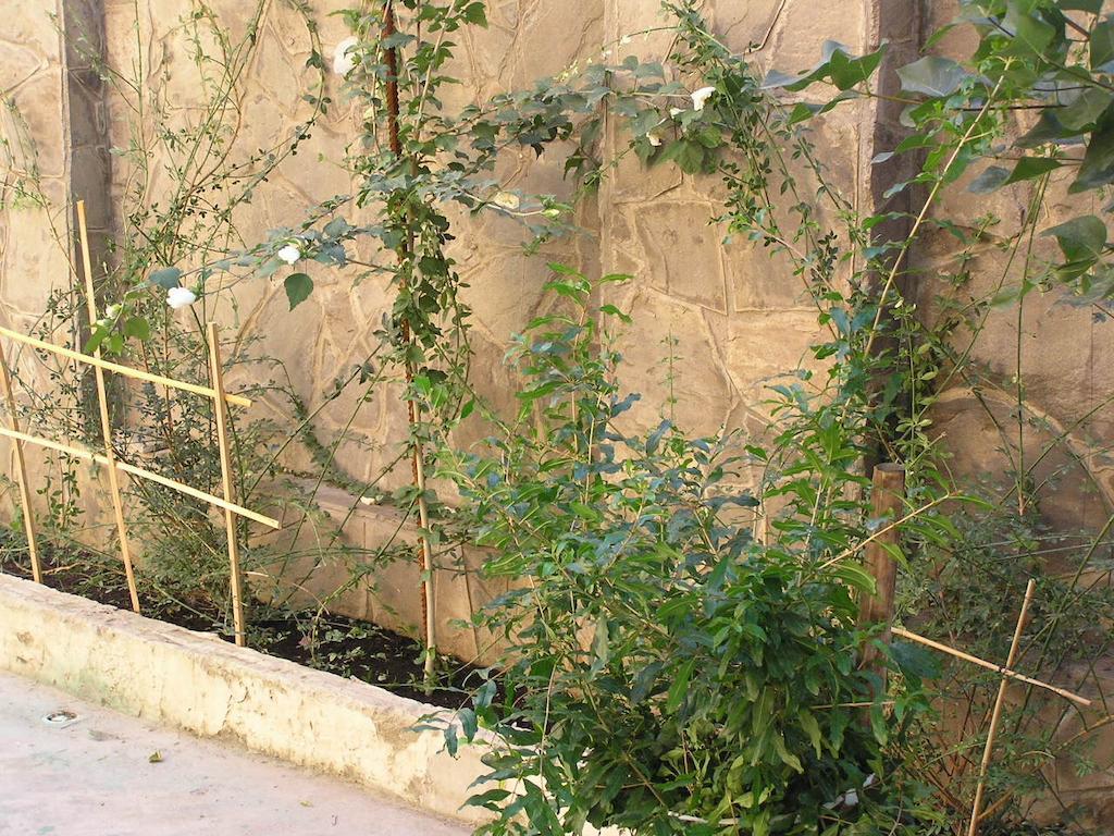 Фото Итальянский Дворик