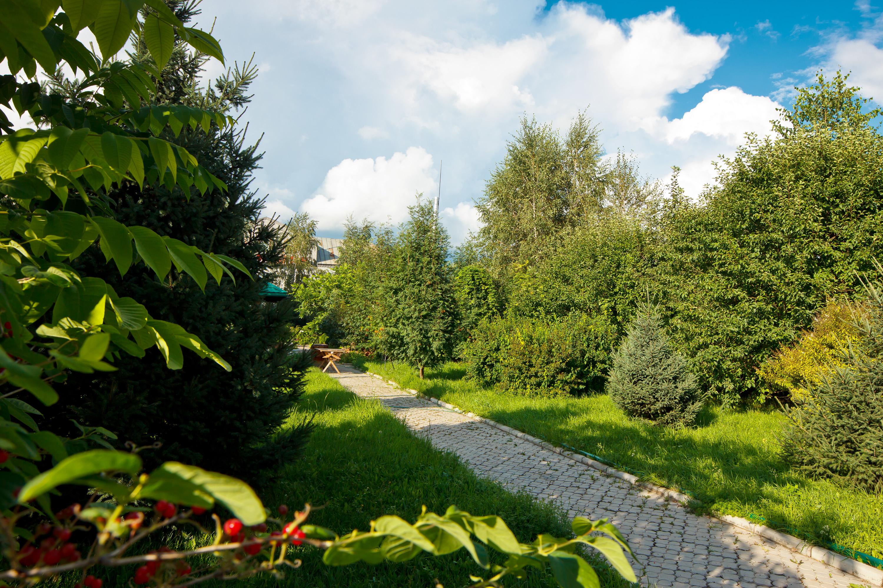 Фото Парк-отель Алмаз