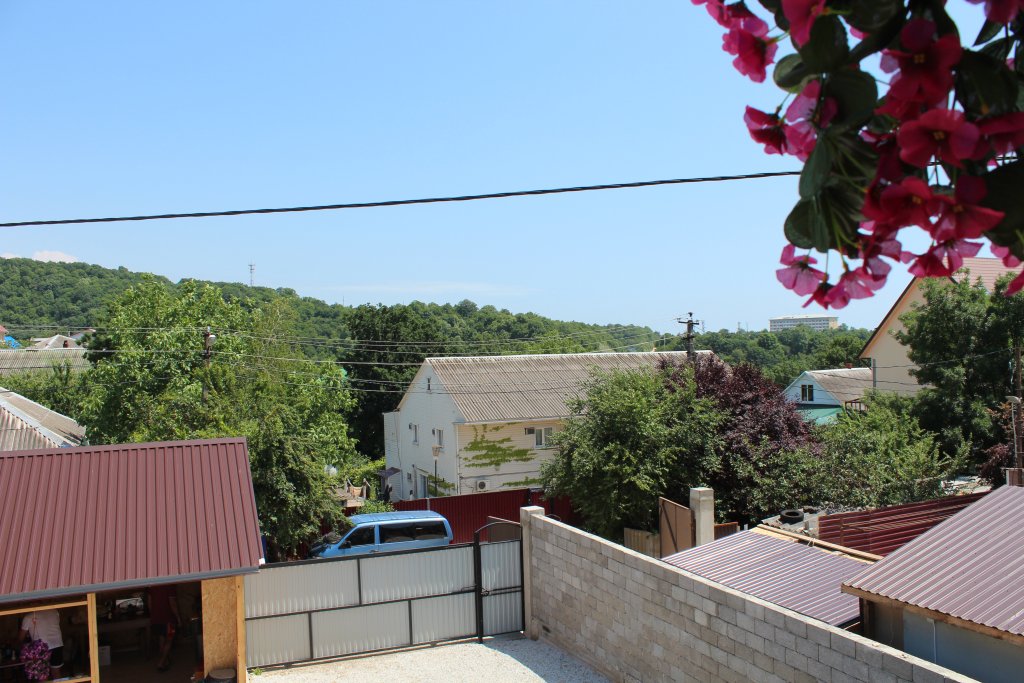 Фото Подсолнух