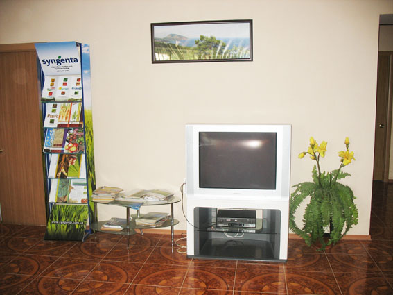 Фото Изабелла