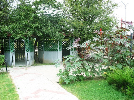 Фото Изабелла