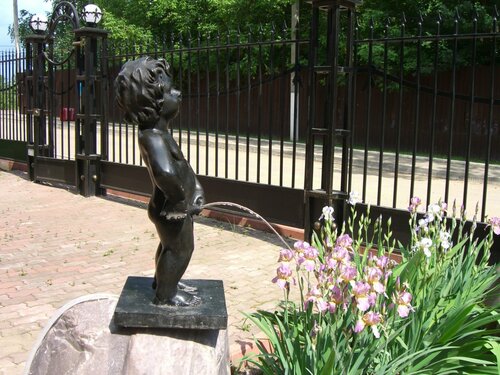 Гостиница Ирис в Александрове