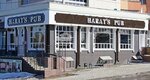 Harat’s pub (Sedova street, 2) ، حانة، بار
