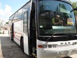 Сели и поехали (вулиця 15 Квітня, 5), bus transportation