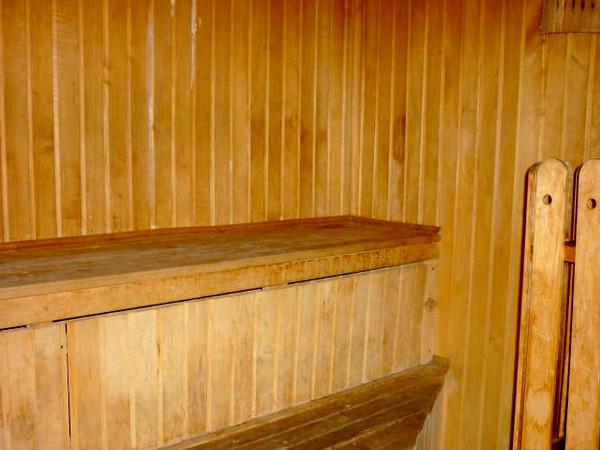 Фото Веселый соловей