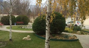 Золотой лев