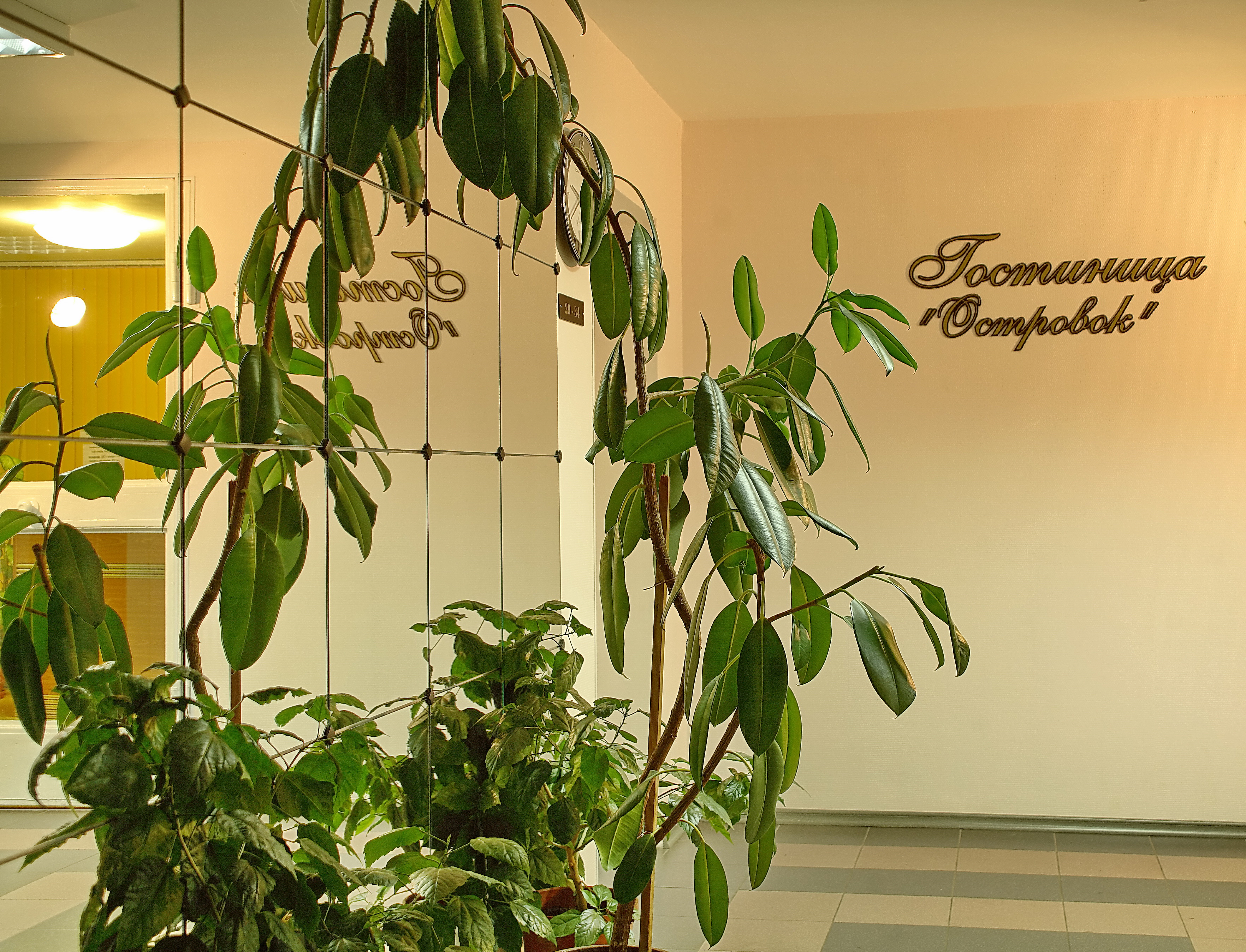 Фото отеля 5