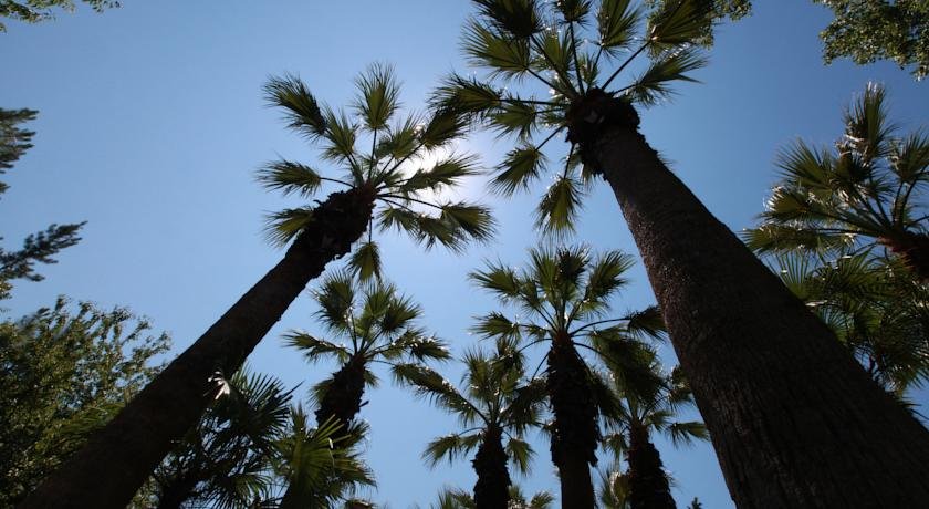 Фото Остров Сочи