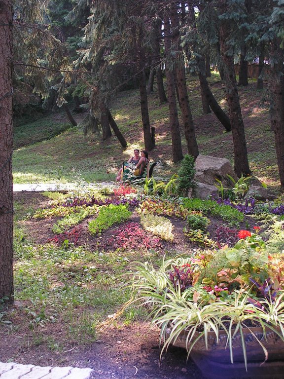 Фото Жемчужина Кавказа