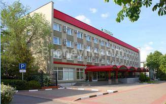 Фото Лебедь