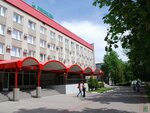 Lebed (ulitsa Mira, 8), hotel