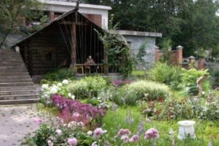 Фото Рыжий пёс