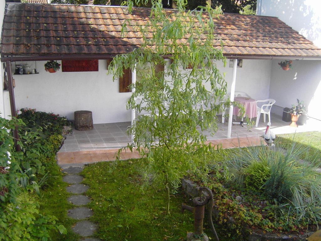 Фото Дом Дружбы