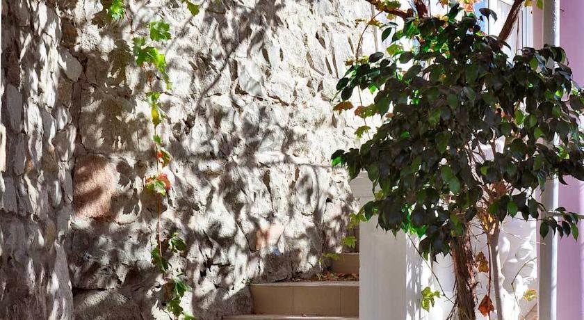 Фото Алубика