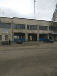 Atp-12327 (Жасминна вулиця, 5) ، النقل بالحافلات