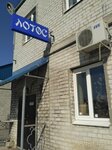 Professionalny Treningovy tsentr Lotos (вулиця Василя Стуса, 9А), school