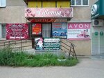 Floristichesky salon (ulitsa Shestakova, 101) ، محل زهور