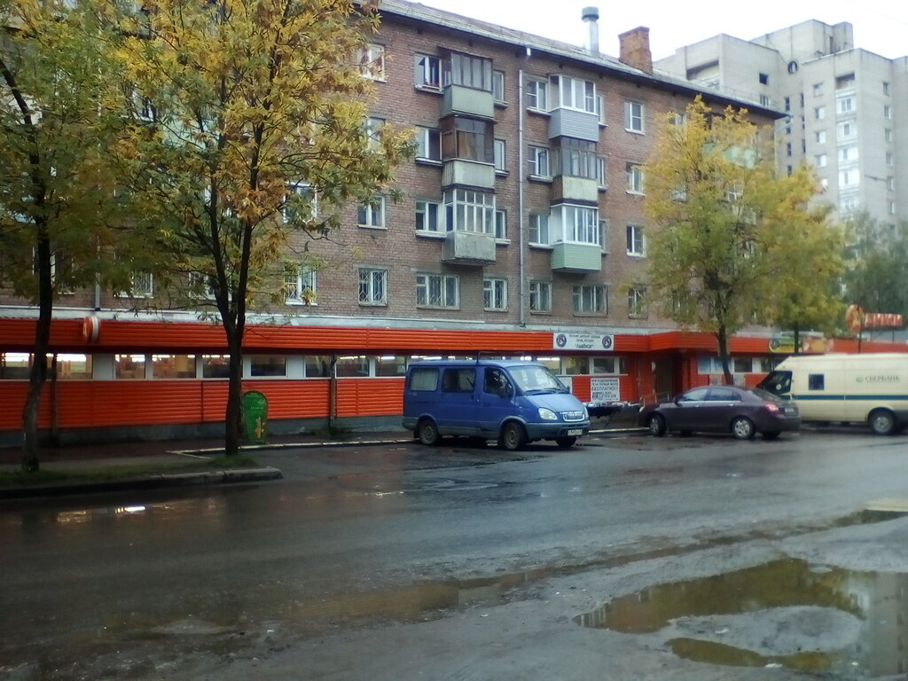 Магазин Львенок Ярославль Официальный Сайт