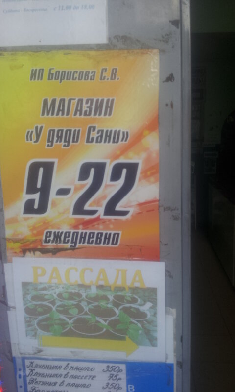 Grocery U dyadi Sani, Balashiha, photo