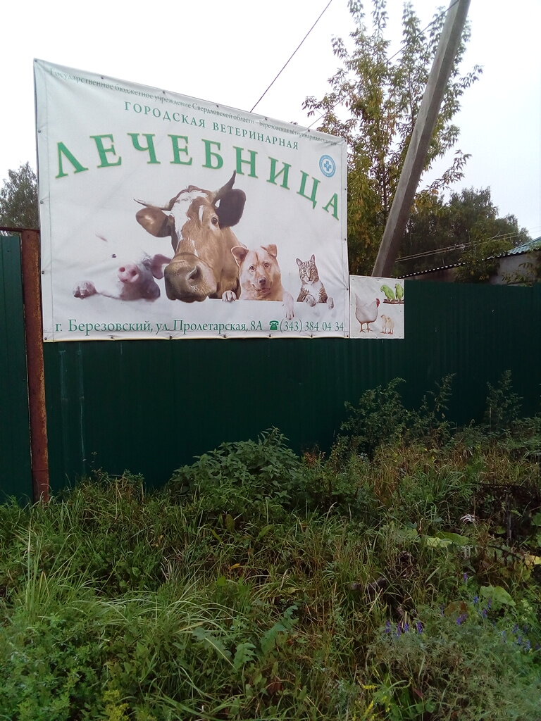 Clínica veterinaria Gorodskaya veterinarnaya lechebnitsa, , foto