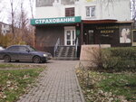 Фото 4 Страхование