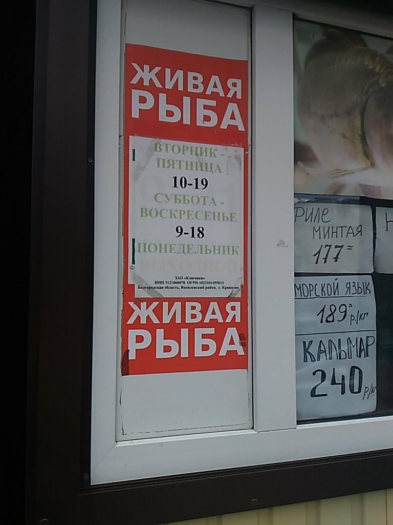 Рыбный Магазин Белгород