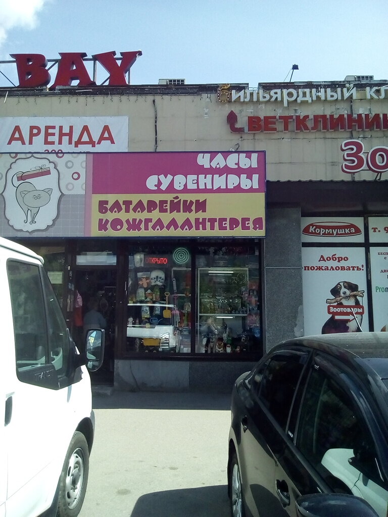 Gift and souvenir shop Chasy Suveniry Batareyki Kozhgalantereya, Saint Petersburg, photo