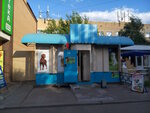 Рыжик (Malakhovka Township, Bykovskoye shosse, 37Д/1), pet shop