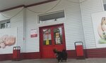 Magnit (rabochiy posyolok Isheyevka, ulitsa Lenina, 37), grocery
