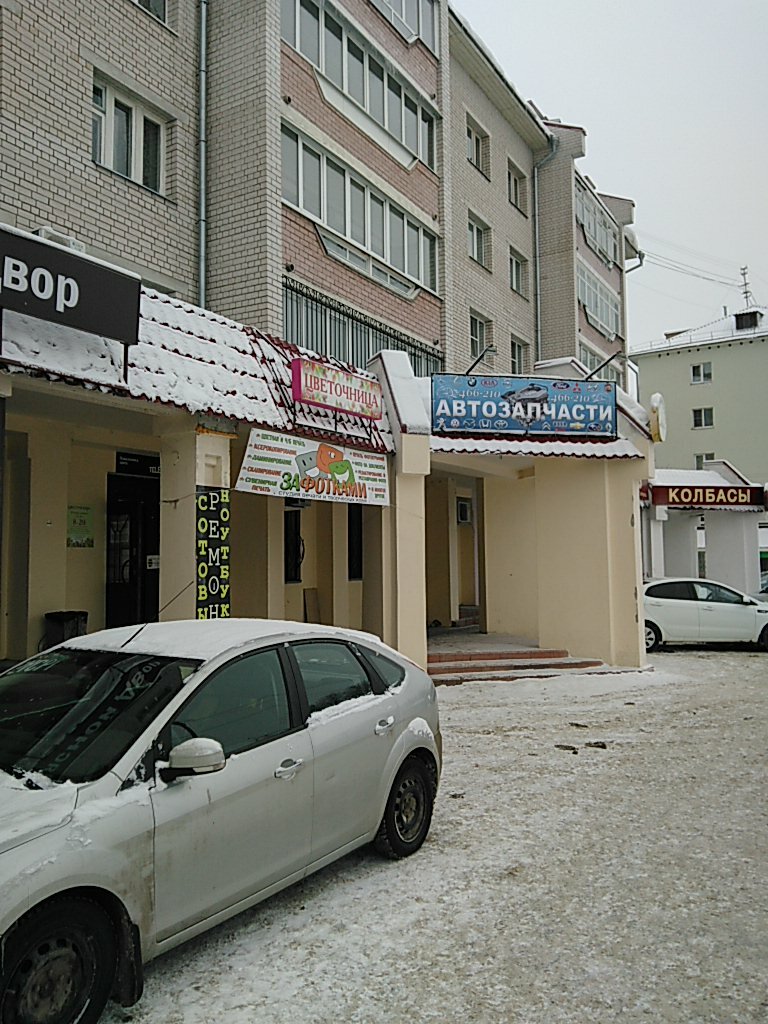 Servicios de fotografía Studiya pechati i tvorcheskikh idey ZaFotkamI, , foto