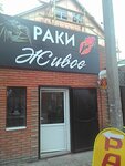 Raki zhivoye (Pochtovaya ulitsa, 70) ، الأسماك والمأكولات البحرية
