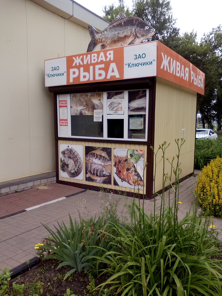 Магазин Рыбок Белгород