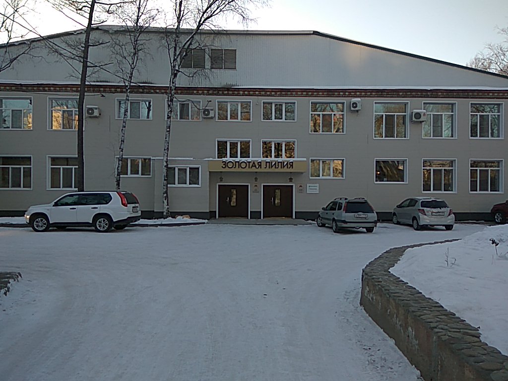 Фото Золотая Лилия