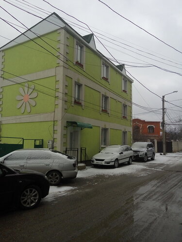 Ромашка  фото 1