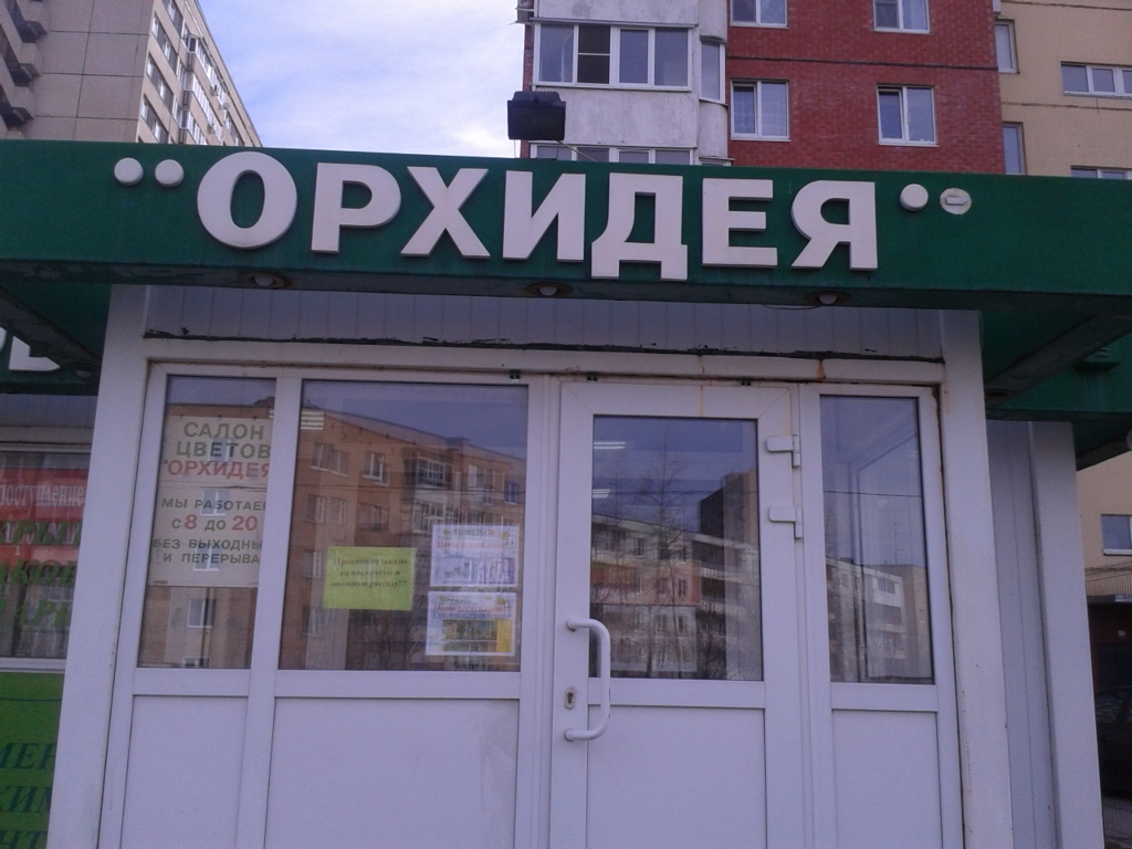 Орхидея ул баскакова 14 фото