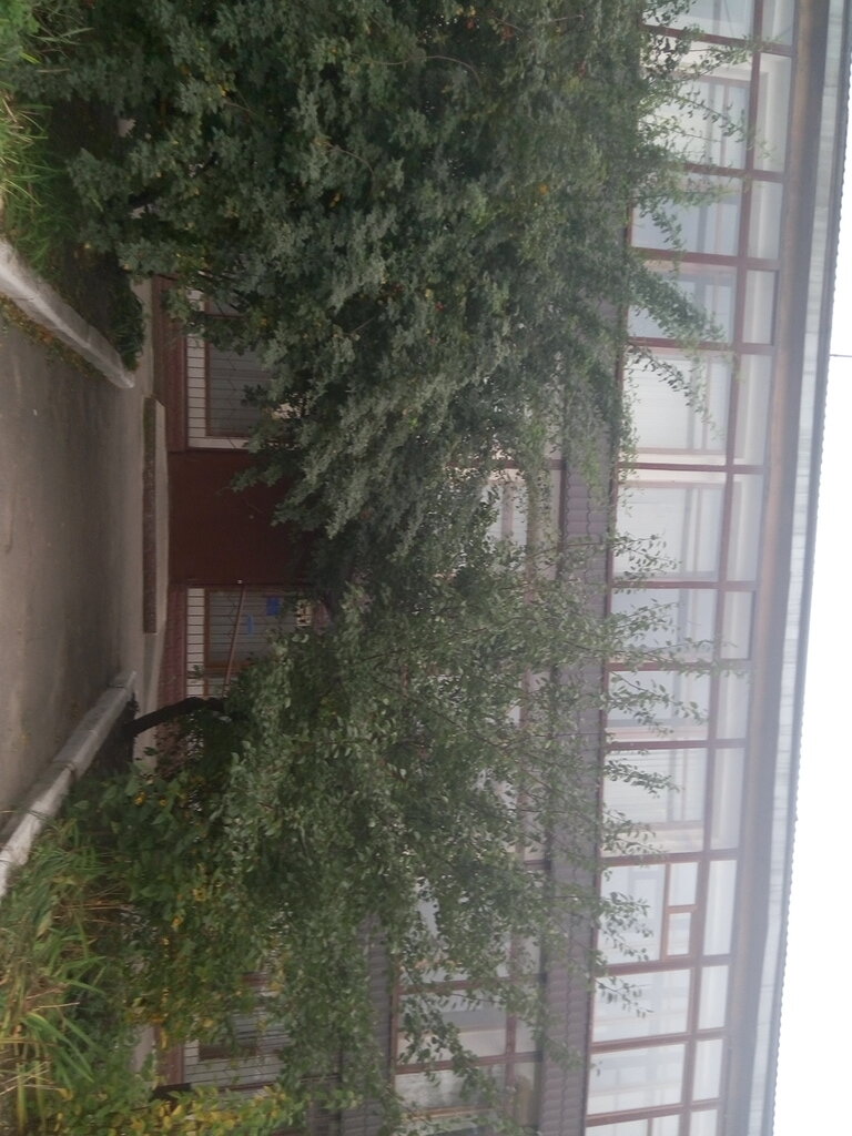 Pension fund Upravleniye pensionnogo fonda Ukrainy Chervonozavodskogo rayona goroda Kharkov, Kharkiv, photo