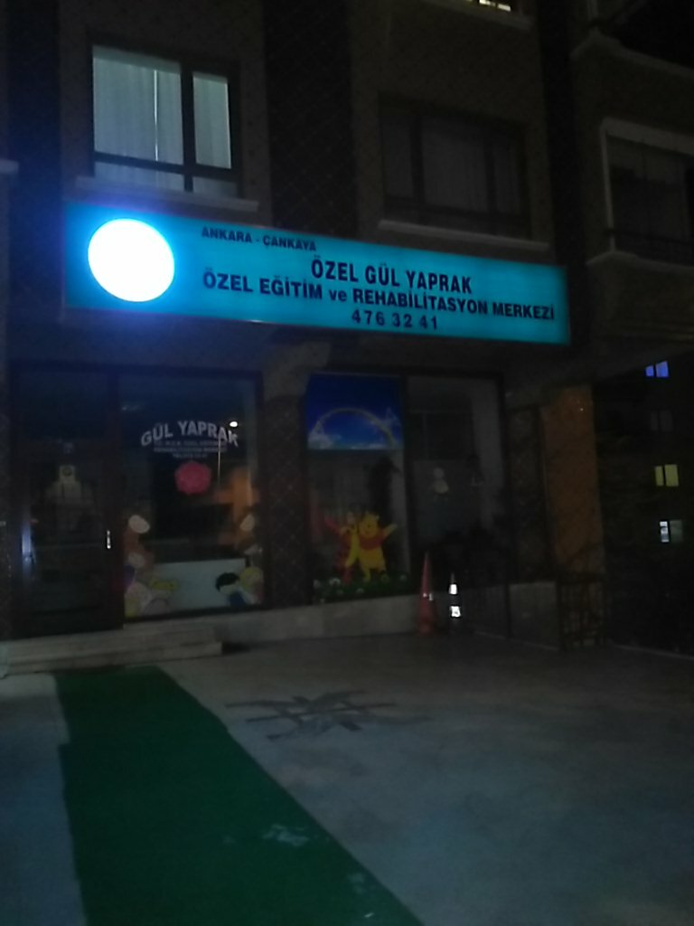 Medical rehabilitation centre Private Rose Leaf Special Education And Rehabilitation Center, Ankara, photo