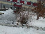 Tolmachevskoye (Tolmachyovskaya ulitsa, 45/5), warehouse services