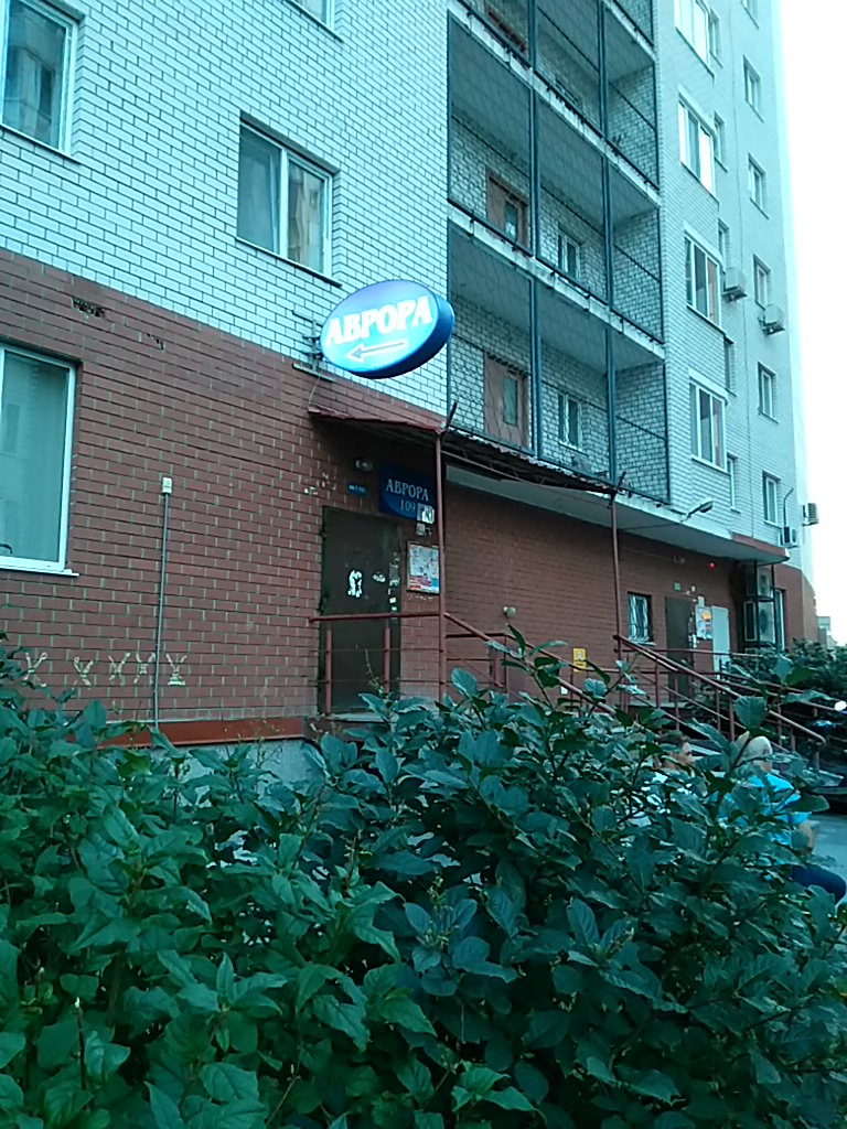 Фото Аврора