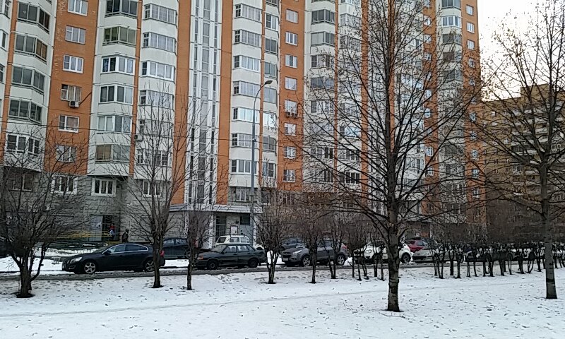 سلطة إسكان بلدية Gbu Zhilishchnik rayona Yuzhnoye Medvedkovo ، موسكو، صورة