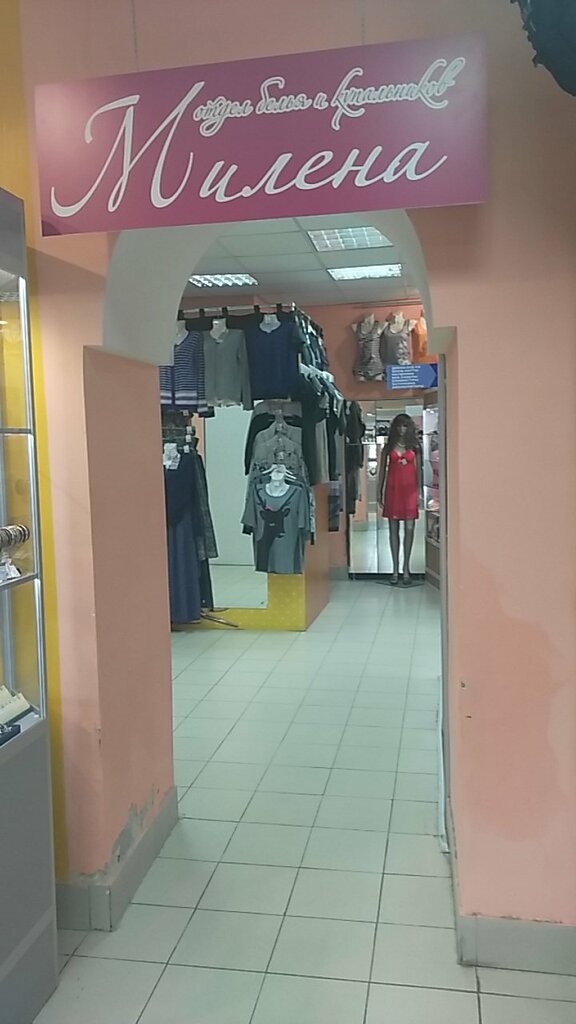 Lingerie and swimwear shop Milena, otdel nizhnego belya, Ip Malkova G. A., Vologda, photo