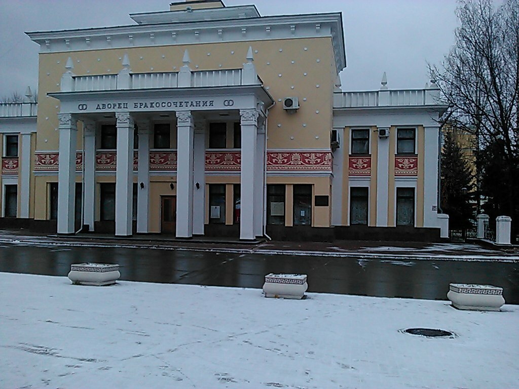 Автозаводский дворец бракосочетания ул дьяконова 1в фото