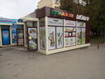 Зоомагазин Индиго (улица 23 Августа, 48), tienda de animales